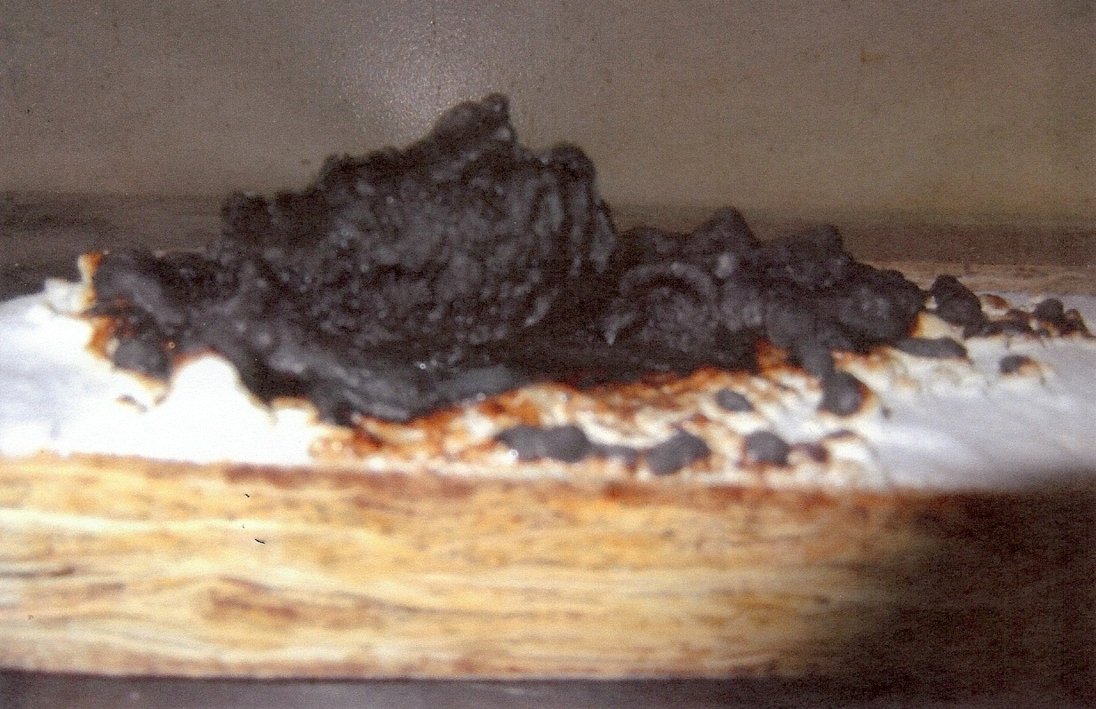 high intumescent fire retardant coating